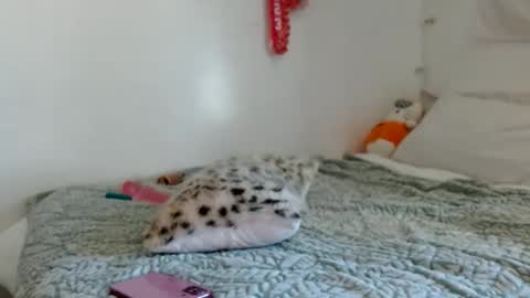 eveexxclusive online show from 10-17-25, 08:33