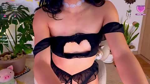 Im Eve or Chelle Next Stream 191224  online show from 03-08-25, 01:06