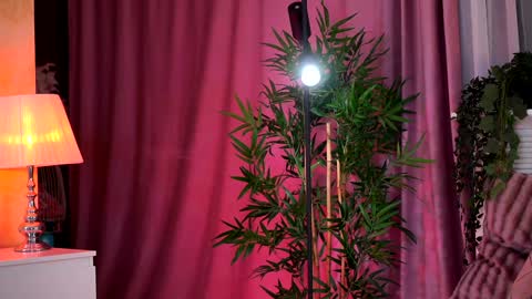 Evelyn online show from 02-05-25, 07:31