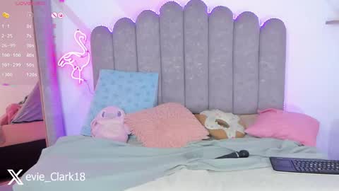 My name is Evie  nice to meet you  really get to know me better private is open  online show from 04-28-26, 11:21