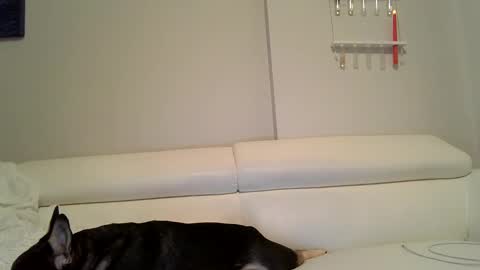 Badblondebunny online show from 12-12-24, 12:05