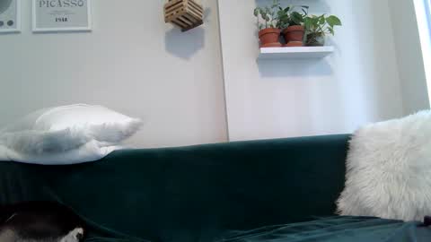 Badblondebunny online show from 09-22-25, 08:55