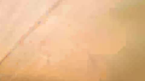 Exhibboytoy3 online show from 05-16-26, 12:59