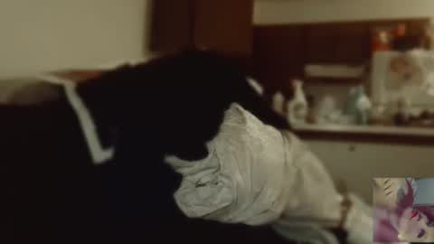 Exoticlexxii online show from 09-09-25, 08:08