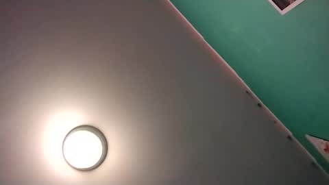 experttreecompany online show from 02-16-26, 08:43