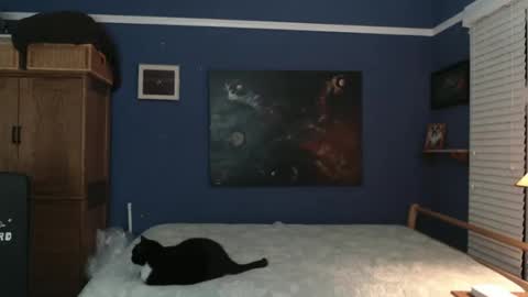 Tommy Rose online show from 12-26-24, 04:53