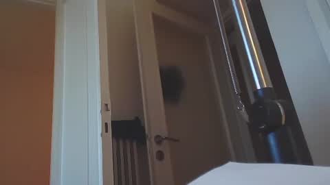 Snapshot of ezcoda chatting on 01-14-25, 02:43 EZCODA online show from 01-14-25, 02:43