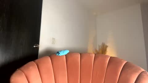 Thianna online show from 11-15-25, 12:13