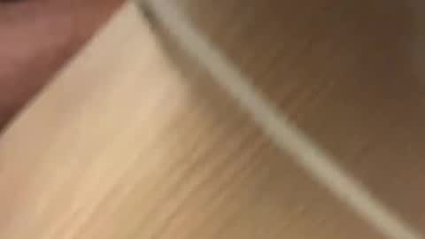 fabinou32 online show from 01-17-25, 12:20