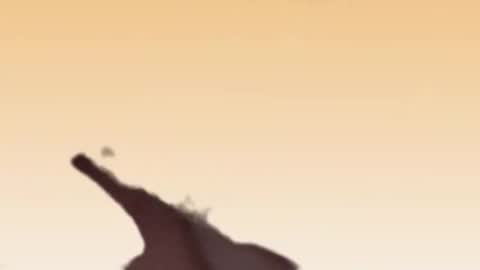 fabinou32 online show from 11-22-25, 02:49