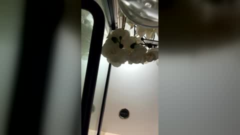 fabiolacal11 online show from 02-28-26, 05:52