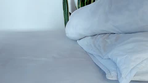 -  A N D E R online show from 11-10-25, 07:57