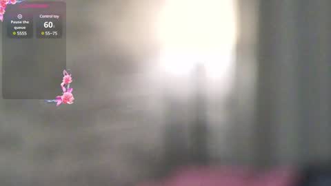 Adri online show from 12-23-24, 08:14