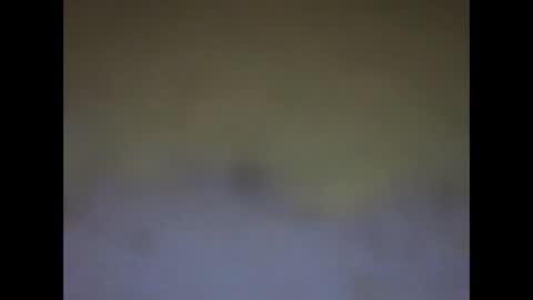 fafafa923 online show from 01-12-25, 11:15