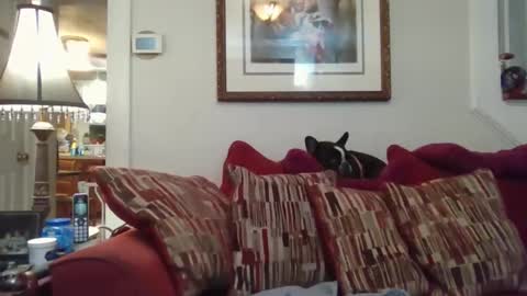 Snapshot of fairmount31 chatting on 11-01-25, 10:12 fairmount31 online show from 11-01-25, 10:12