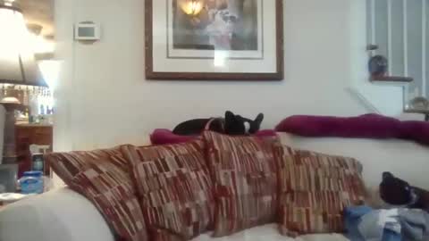 Snapshot of fairmount31 chatting on 11-12-25, 04:51 fairmount31 online show from 11-12-25, 04:51