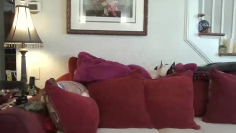 Snapshot of fairmount31 chatting on 02-13-26, 01:51 fairmount31 online show from 02-13-26, 01:51