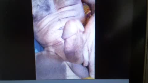 falushp online show from 01-23-25, 09:50