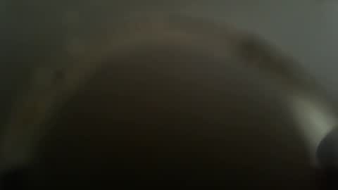 falushp online show from 02-26-25, 11:52