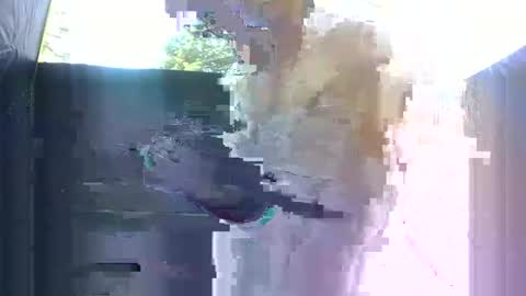 Maddy Haze online show from 10-21-25, 12:00