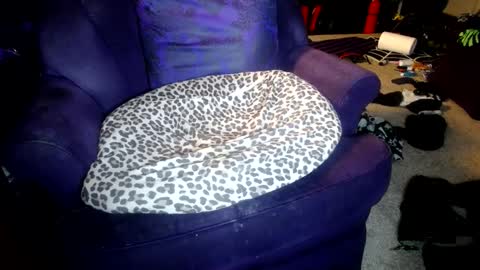 Snapshot of farrahfindom chatting on 10-08-25, 05:16 Farrah online show from 10-08-25, 05:16