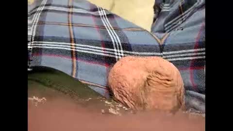 fartinmymouthplz online show from 11-18-25, 03:45