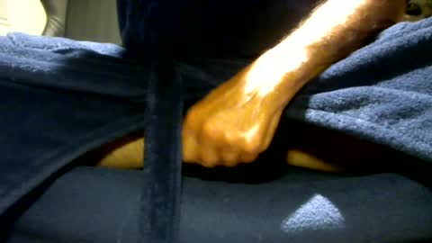 fastoys aka ...what ever.. online show from 07-21-26, 06:32