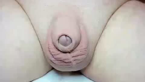 Fatmanscock online show from 10-26-25, 03:34