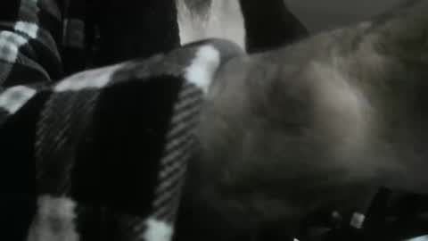 feardubh online show from 10-31-25, 09:43