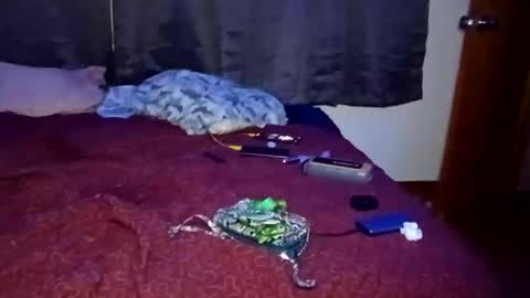 feetandmeat420 online show from 10-29-25, 09:33