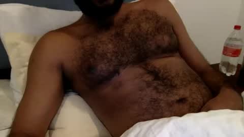 HairyBrownGuy online show from 01-08-26, 06:43
