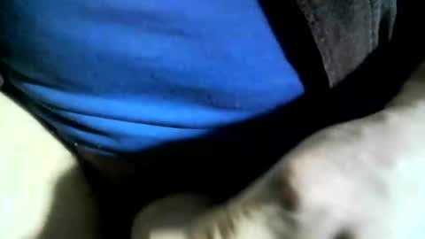 Snapshot of felicaste chatting on 01-24-25, 06:04 felicaste online show from 01-24-25, 06:04