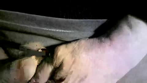 Snapshot of felicaste chatting on 02-17-25, 04:20 felicaste online show from 02-17-25, 04:20