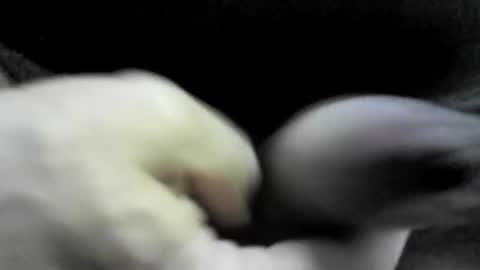 Snapshot of felicaste chatting on 09-17-25, 10:33 felicaste online show from 09-17-25, 10:33