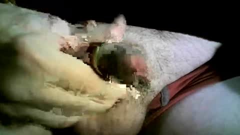 Snapshot of felicaste chatting on 11-26-25, 08:43 felicaste online show from 11-26-25, 08:43