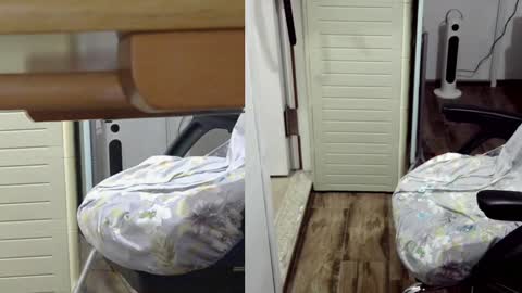 Snapshot of felixlau chatting on 01-26-25, 12:11 felixlau online show from 01-26-25, 12:11