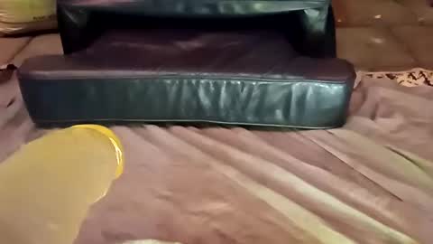 Snapshot of femboy710cum chatting on 12-21-24, 11:24 femboy710cum online show from 12-21-24, 11:24