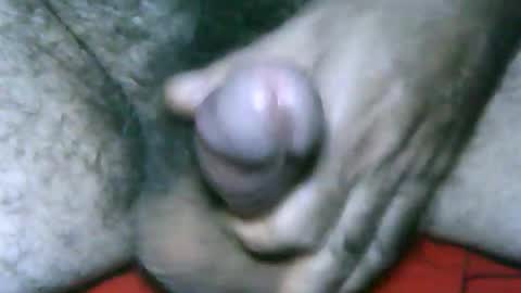 fer_2197 online show from 01-02-25, 12:46