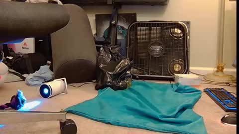 FE fee online show from 10-06-25, 06:00