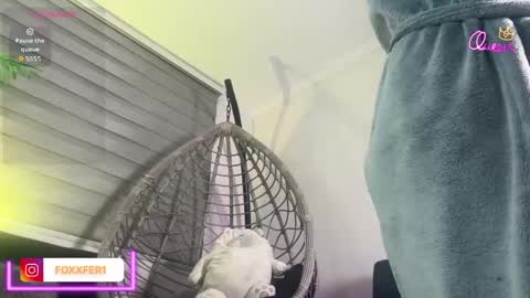 Snapshot of fernandafox_ chatting on 06-03-26, 03:53 fernanda online show from 06-03-26, 03:53