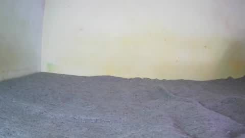 Fern Tlk online show from 12-20-24, 07:17