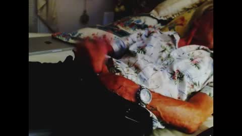 ferra_testarossa online show from 07-01-26, 05:31