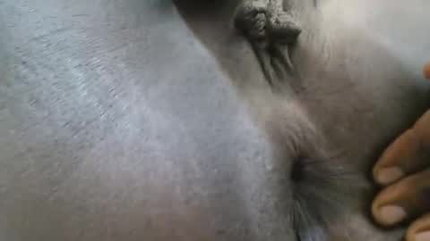 Ferie online show from 09-27-25, 04:06