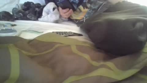 Snapshot of fetishfriendly6969 chatting on 12-04-24, 03:43 fetishfriendly6969 online show from 12-04-24, 03:43