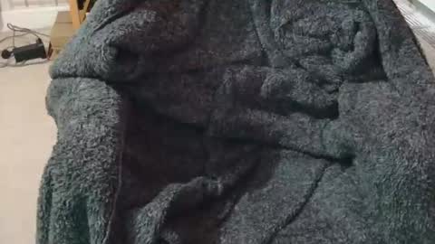 ffys2025 online show from 02-13-26, 09:22