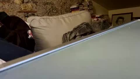 Fid online show from 01-28-25, 10:23