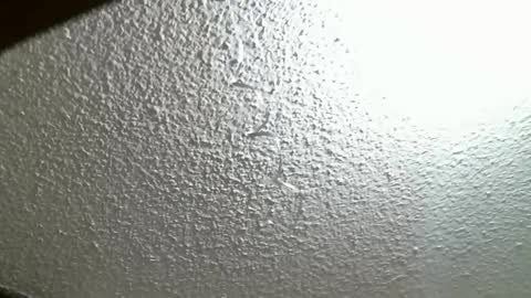 Snapshot of fierywoman158 chatting on 10-07-25, 04:26 FIERYWOMAN online show from 10-07-25, 04:26