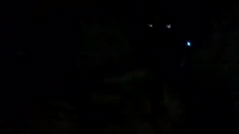 Snapshot of filip1981 chatting on 09-14-25, 09:41 filippo online show from 09-14-25, 09:41