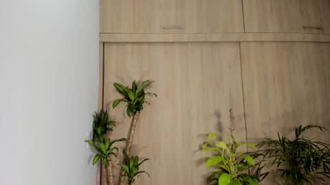 filletatouee online show from 11-16-25, 01:44