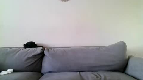 MilfnDaddy online show from 12-27-24, 06:53